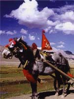 Тибетская повозка со свастикой