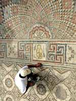 Иерихон. Дворец Хишама. Мозаика с Боговником. Фрагмент